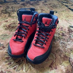 Air Jordan 12